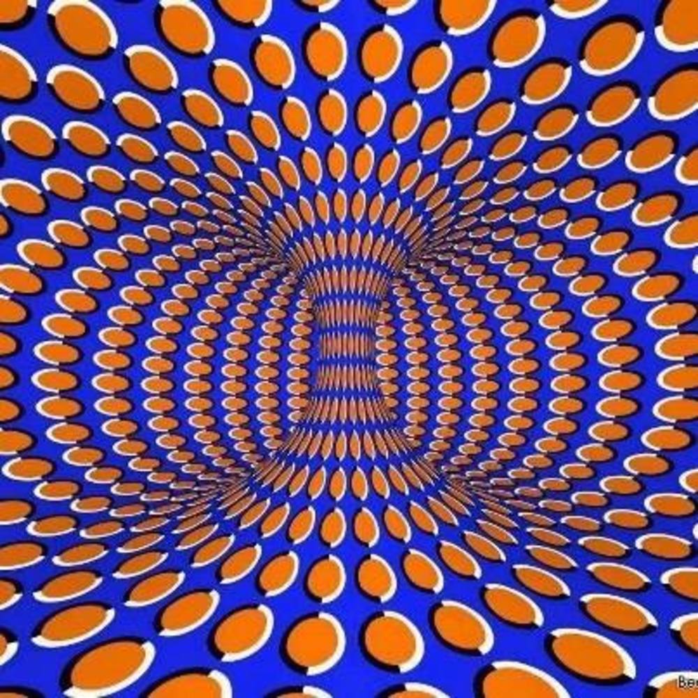 Meet your Posher, Griselda